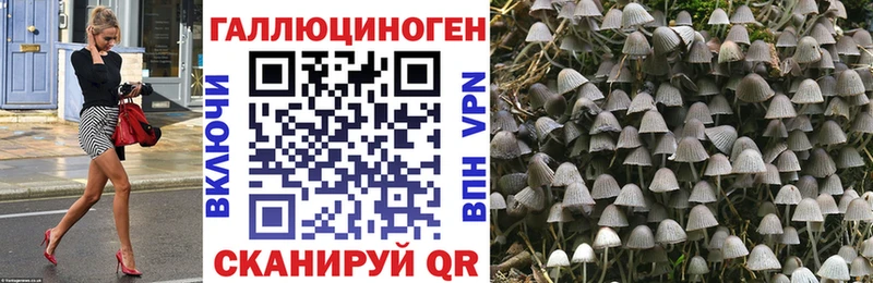 Купить закладки  Суоярви  Галлюциногенные грибы Magic Shrooms 